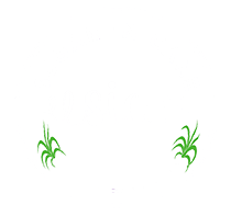 Sugar In Cane Logo