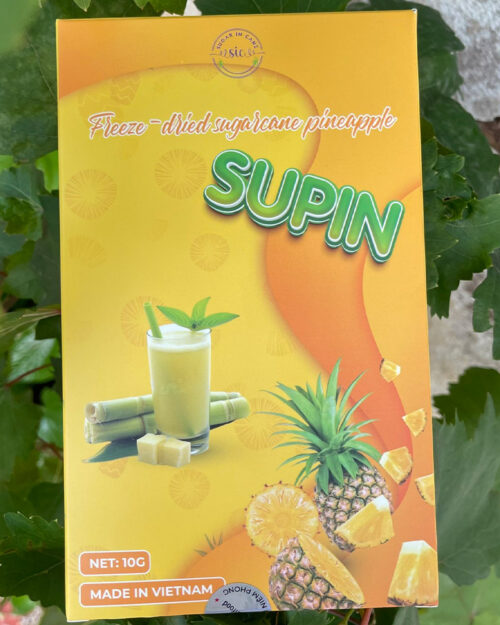 10g Freeze-dried Sugarcane Pineapple for Kids